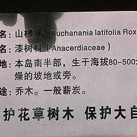 豆腐果