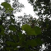 山铜材