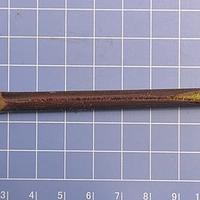 仁昌玉山竹